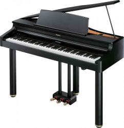 Изображение продукта Roland RG-1F-SB цифровой рояль